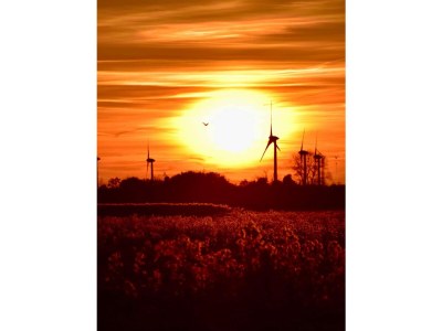 Holiday house Haus Nordsee - Süchtig - Environment photo 30