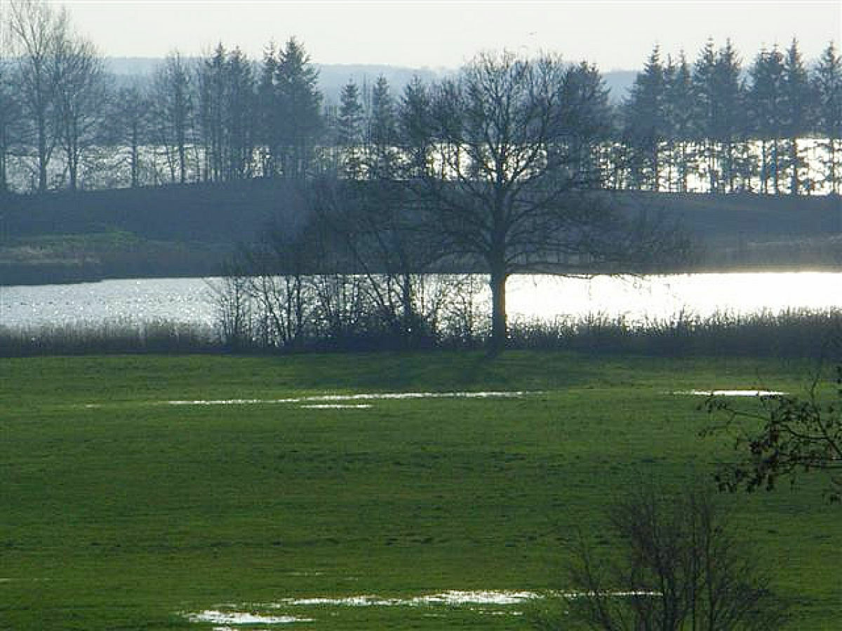Holiday house Seaview - Outdoor photo 5