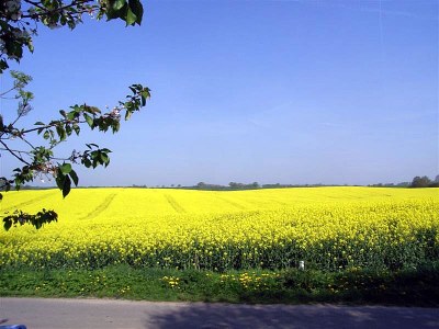 Holiday house Seaview - Environment photo 24