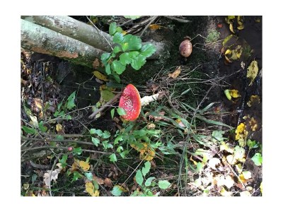 Apartment 6-Bett-Ferienhaus - Outdoor photo 32