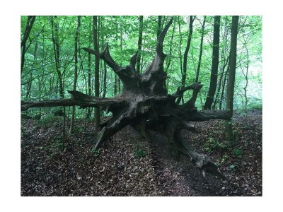 Apartment 6-Bett-Ferienhaus - Outdoor photo 42