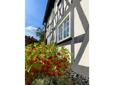 Apartment 5-Bett Ferienhaus - Outdoor photo 14