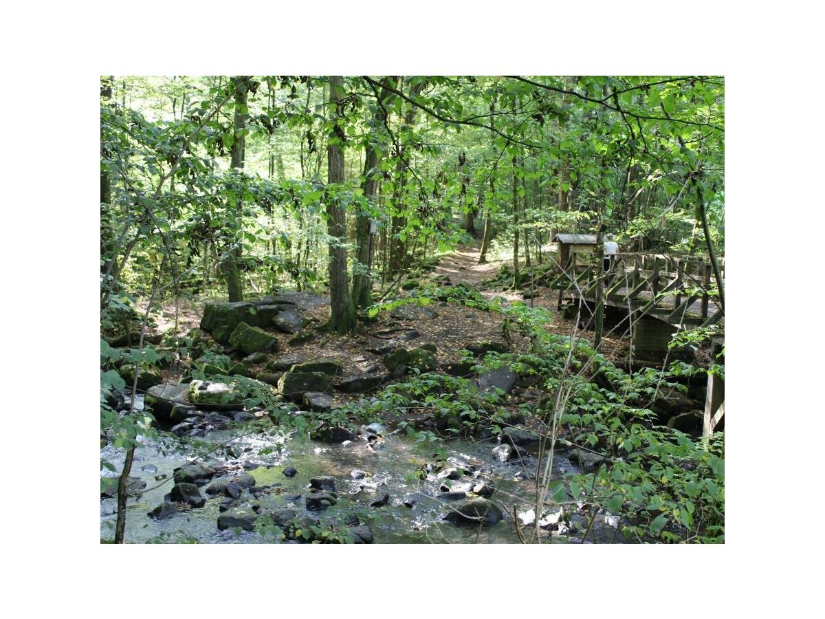 Apartment Ferienhaus Fohlenwiese, Dusche, WC, 2 Schlafräume - Outdoor photo 2