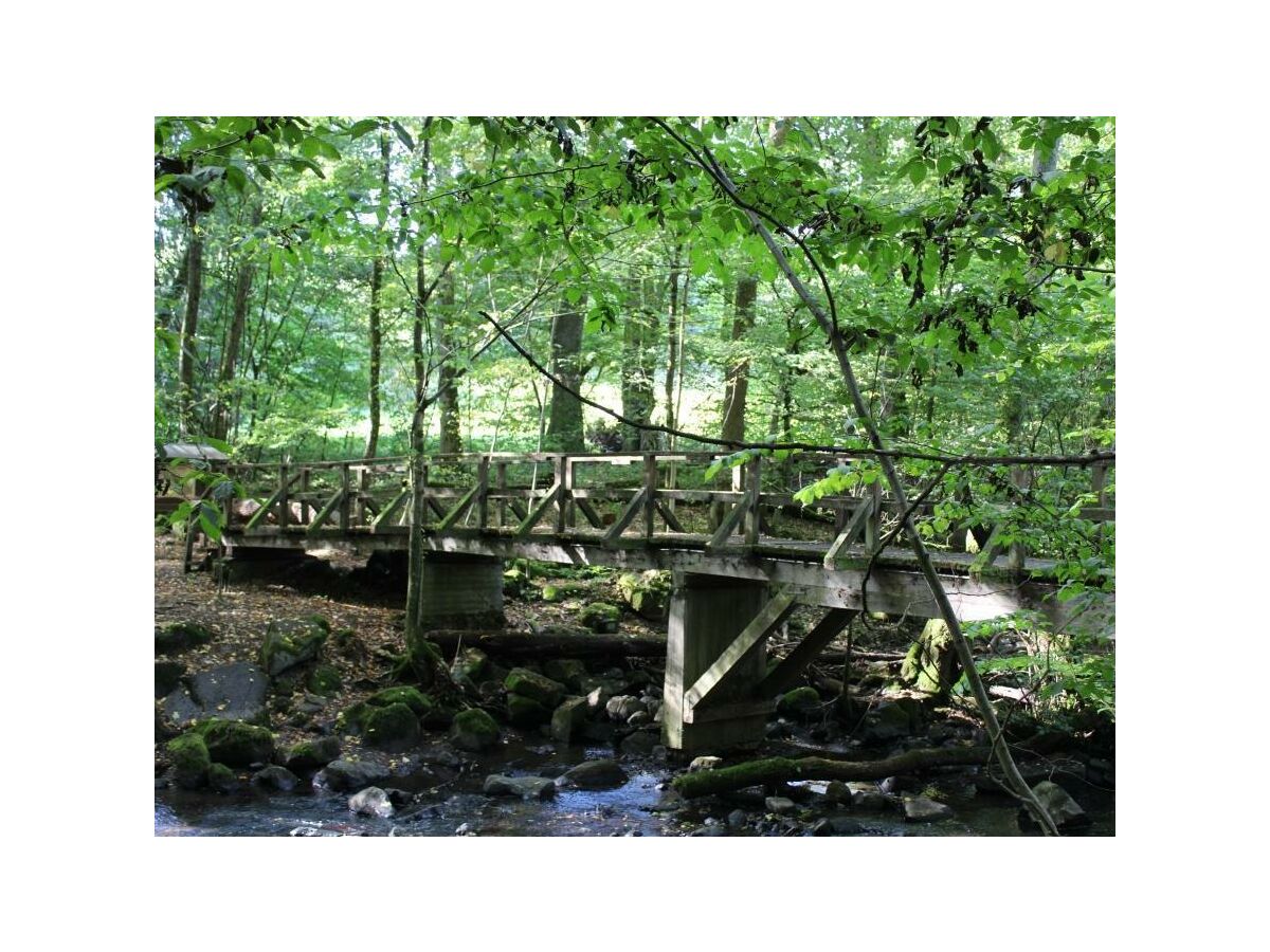 Apartment Ferienhaus Fohlenwiese, Dusche, WC, 2 Schlafräume - Outdoor photo 3