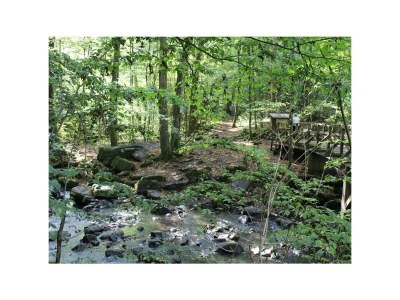 Apartment Ferienhaus Fohlenwiese, Dusche, WC, 2 Schlafräume - Outdoor photo 2