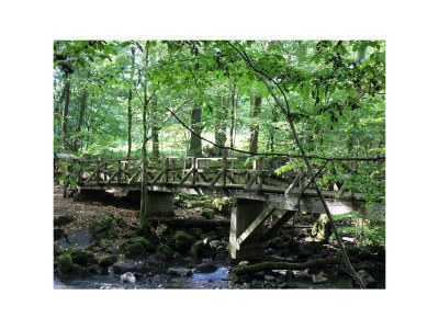 Apartment Ferienhaus Fohlenwiese, Dusche, WC, 2 Schlafräume - Outdoor photo 3