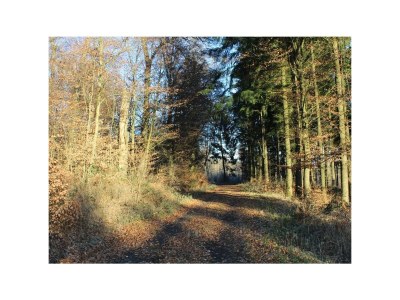 Apartment Ferienhaus Fohlenwiese, Dusche, WC, 2 Schlafräume - Outdoor photo 6