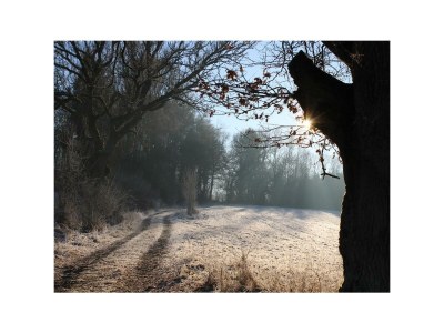 Apartment Ferienhaus Fohlenwiese, Dusche, WC, 2 Schlafräume - Outdoor photo 7