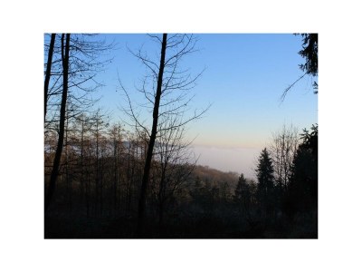 Apartment Ferienhaus Fohlenwiese, Dusche, WC, 2 Schlafräume - Outdoor photo 8