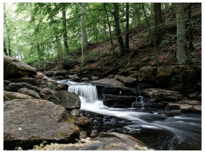 Apartment Ferienhaus Fohlenwiese, Dusche, WC, 2 Schlafräume - Outdoor photo 11