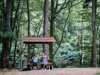 Apartment Ferienhaus Fohlenwiese, Dusche, WC, 2 Schlafräume - Outdoor photo 15