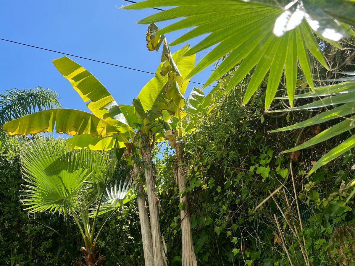 Holiday house Sonniges Zuhause in Meeresnähe - Outdoor photo 5