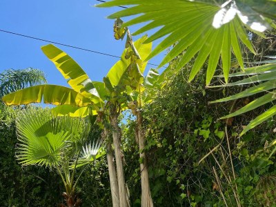 Holiday house Sonniges Zuhause in Meeresnähe - Outdoor photo 5