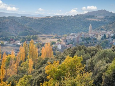 Holiday house Rustikales Ferienhaus in Tolva nahe Mont Rebei See - Environment photo 29