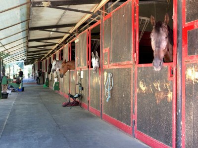 Farmhouse Gemütlicher toskanischer Kurzurlaub - Outdoor photo 40