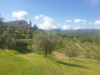 Holiday house Apartment with pool, Rignano - Environment photo 36