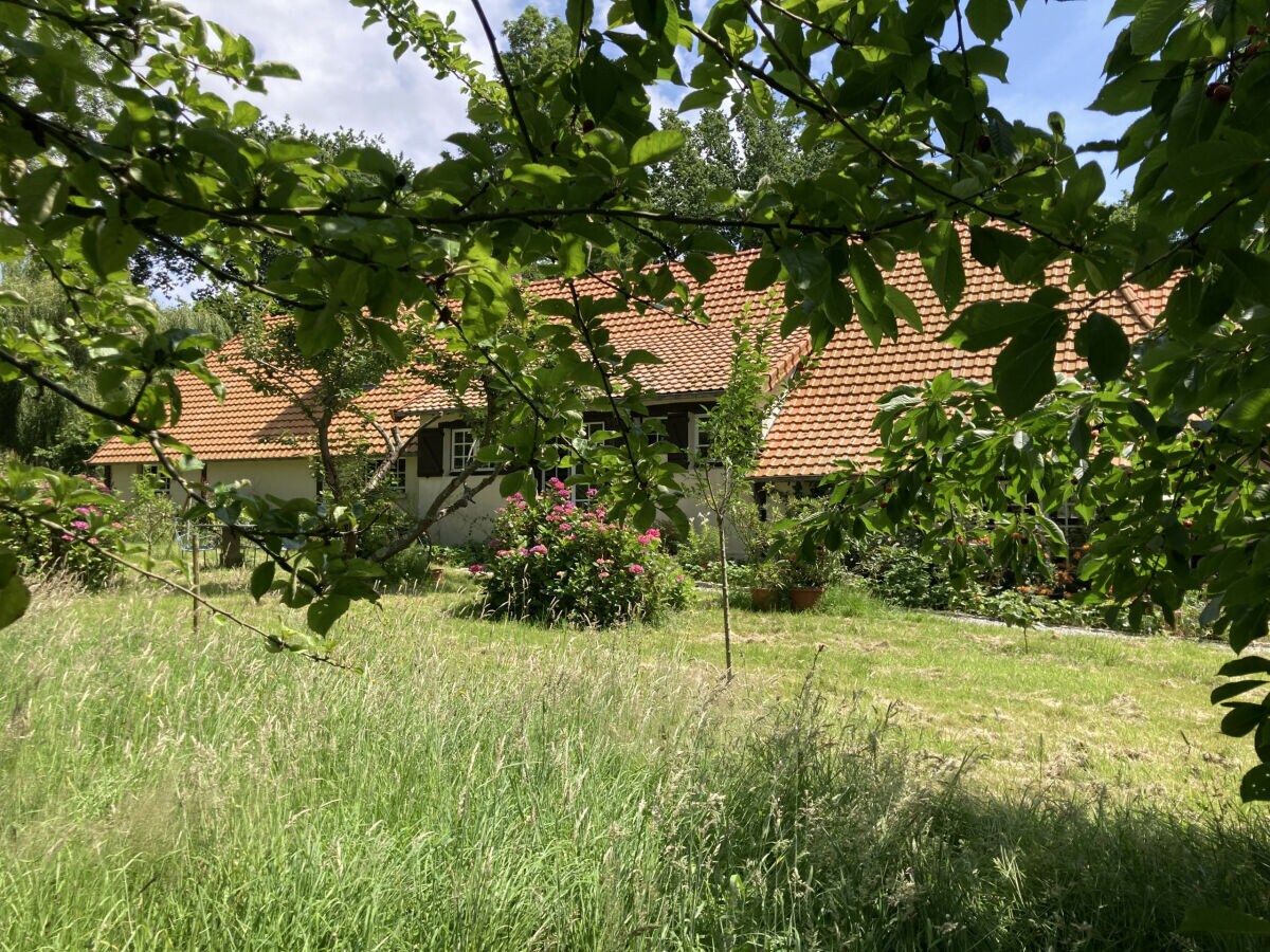 Holiday house Maison de Noémie - Outdoor photo 3