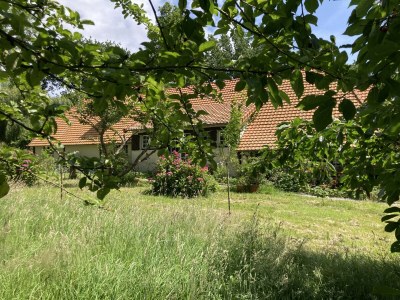 Holiday house Maison de Noémie - Outdoor photo 3