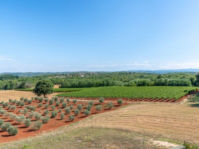 Villa Grisi - Environment photo 36