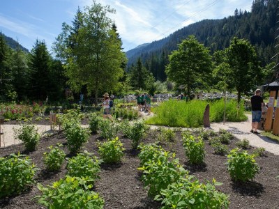 Apartment Appartement 2 - Outdoor photo 33