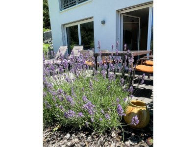 Apartment Kristberg - Outdoor photo 56