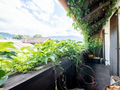 Holiday house Ludwigschlössl - Outdoor photo 5