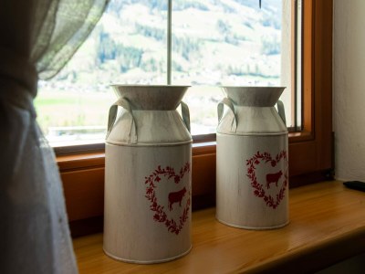 Apartment Wohnung in Ramsau nahe Skilift Mayrhofen - Outdoor photo 35