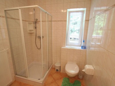 Apartment Wohnung in Scheffaui nahe Skipisten - Features photo 19