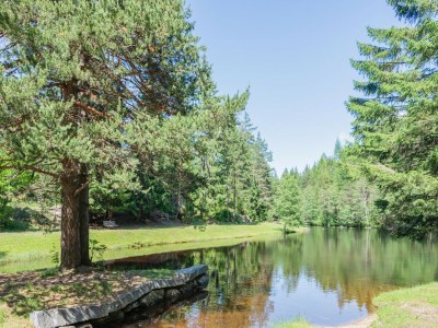 Holiday house Chalet in Tirol nahe Skigebiet - Outdoor photo 6