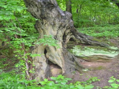 Holiday house Easy Access to Local Highlights - Environment photo 22