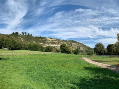 Holiday house Easy Access to Local Highlights - Environment photo 25