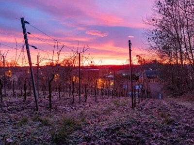 Holiday house Easy Access to Local Highlights - Environment photo 26