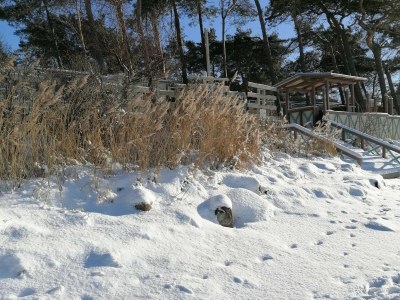 Apartment Ruhiger Pepelow-Rückzugsort - Environment photo 28