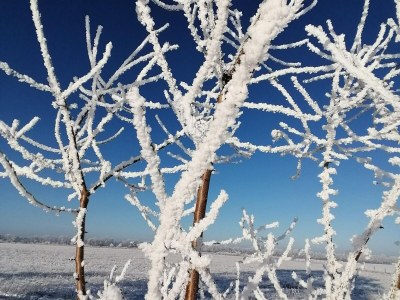 Apartment Ruhiger Pepelow-Rückzugsort - Environment photo 31