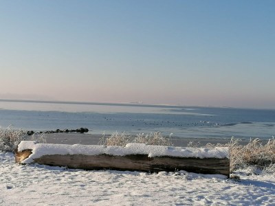 Apartment Ruhiger Pepelow-Rückzugsort - Outdoor photo 35