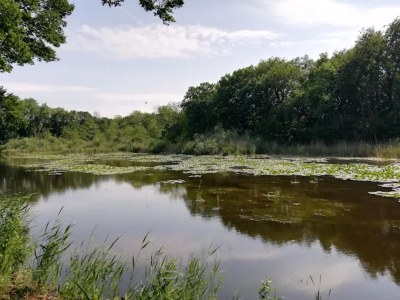 Holiday house Getaway Near the Baltic - Environment photo 25