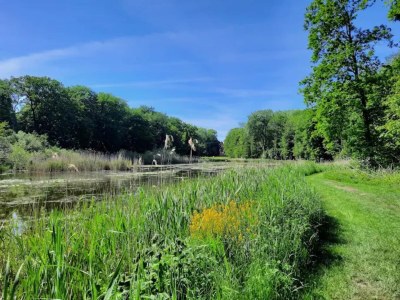 Holiday house Getaway Near the Baltic - Environment photo 30