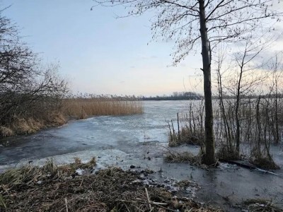 Apartment Elegante Wohnung, Grevesmühlen - Environment photo 27