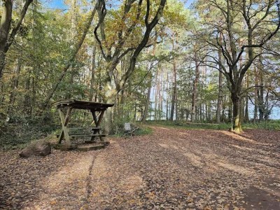 Apartment Elegante Wohnung, Grevesmühlen - Environment photo 29