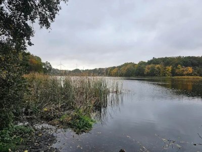 Apartment Elegante Wohnung, Grevesmühlen - Environment photo 32