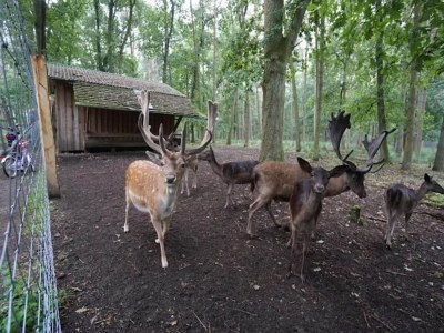 Apartment Elegante Wohnung, Grevesmühlen - Environment photo 33