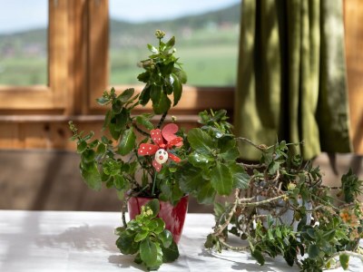 Holiday house Ferienhaus in Bayern am Großer Arber - Outdoor photo 35