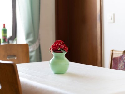 Holiday house Ferienhaus in Bayern am Großer Arber - Outdoor photo 37