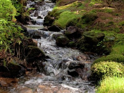 Apartment Liebevoll eingerichtete Ferienwohnung in Viechtach - Environment photo 30