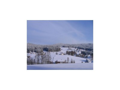 Apartment Liebevoll eingerichtete Ferienwohnung in Viechtach - Environment photo 32