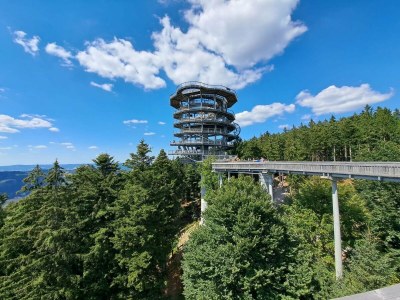 Apartment Liebevoll eingerichtete Ferienwohnung in Viechtach - Environment photo 33