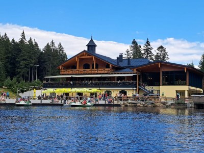 Apartment Liebevoll eingerichtete Ferienwohnung in Viechtach - Environment photo 37