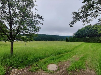 Holiday house Waldflucht mit Terrasse - Environment photo 31