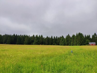 Holiday house Waldflucht mit Terrasse - Environment photo 33