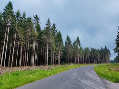 Holiday house Haustierfreundlicher Kurzurlaub - Environment photo 33